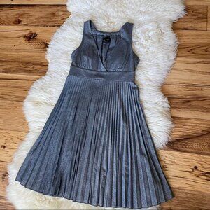 Max and Cleo Silver Metallic Empire Waist Pleated Skirt Dress Size 4
